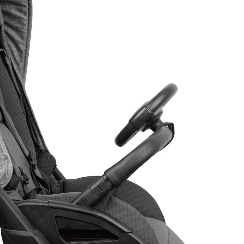 Buggy Steering Wheel
